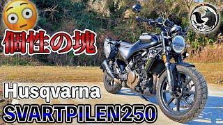 【辛口】不満が多いけど最高のスクランブラー！Svartpilen250 オーナーズインプレッション