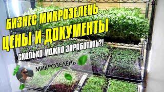 МИКРОЗЕЛЕНЬ ДОМА | КАК ВЫРАСТИТЬ МИКРОЗЕЛЕНЬ ДОМА | БИЗНЕС МИКРОЗЕЛЕНЬ | МИКРОЗЕЛЕНЬ С ЧЕГО НАЧАТЬ