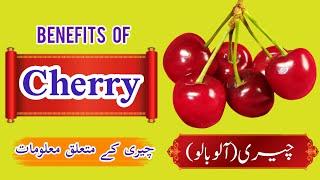 Benefits of Cherry | Information Urdu Hindi | Black Cherry | Red Cherry | Hakeem Sahib 313 | چیری