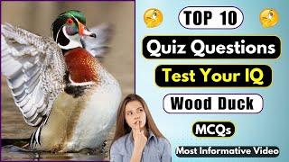 Wood Duck Quiz | Can You Answer These 10 General Knowledge Questions? | Helian GK Quiz