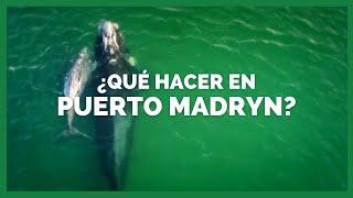 ¿QUÉ HACER EN PUERTO MADRYN? 