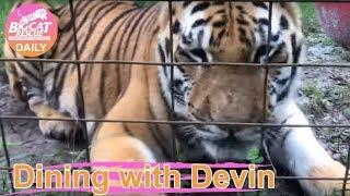 Dining with Devin~FEEDING Seth TIGER 11062018