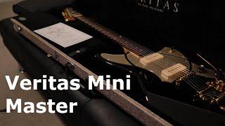 Veritas Mini Master Review (Craftsman)