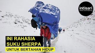 Tinggal di Pegunungan Himalaya yang Dingin, Ini Rahasia Suku Sherpa untuk Bertahan Hidup