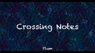 피아노와 바이올린의 폭발하는 앙상블 / Crossing Notes by Plum