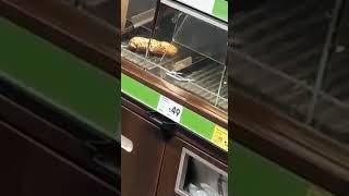 Maus (oder Ratte) in Supermarkt Backwarenausgabe - Netto Essen-Freisenbruch