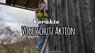 Eine kleine Vogelschutz Aktion mit Komplikationen. #savethebirds #vogelschutz #elster #verückt