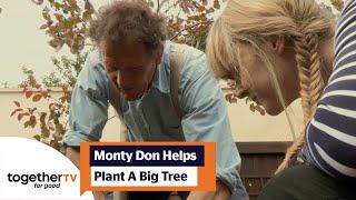 Monty Don's Advice On How To Plant A Big Tree | Big Dreams Small Spaces