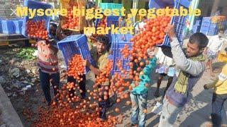 Karnataka biggest vegetable market in Mysore/bandipalya market/Mysore Sulthan