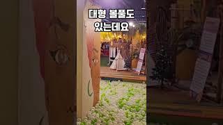 홍대역 - 코코넛박스 카페(삐약아 어디가 지하철근처맛집)