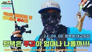 평택 주꾸미 갑오징어 낚시 24.09.08 feat.이벤트진행