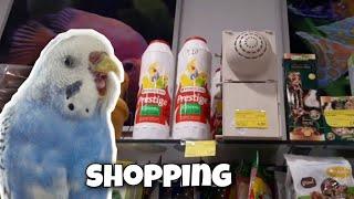 Visiting a Pet Store, Getting Some Bird Stuff 