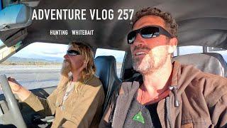 new zealand adventure vlog #257 whitebait hunting surfcasting fishing with josh james and dan