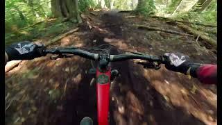 Loam rider- Eh horizon. Copper harbor mountain biking.