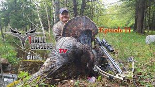 Thrill Chasers TV Episode  11 - DARTON ARCHERY'S Ted Harpham smokes Gobbler.