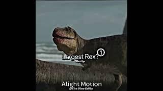 The Largest Rex? - T.Rex Edit | NEXT! (T.Rex Discovery Anniversary Day) #shorts