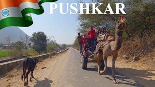 Exploring Incredible Indian Street Markets And Scenic Roads, PUSHKAR