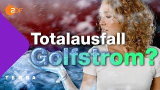 Aus für den Golfstrom? Droht Europa die nächste Eiszeit? | Terra X plus