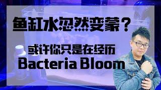 什么是Bacteria Bloom   |   【小马说水族】   |   海王频道