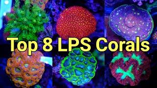 My Top 8 LPS Corals (And 8 More You'll Love)