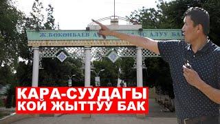 КАРА-СУУНУН КОЙ ЖЫТТАНГАН СЕЙИЛ БАГЫ