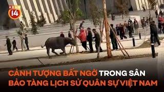 Cảnh tượng bất ngờ trong sân Bảo tàng Lịch sử Quân sự Việt Nam khiến nhiều người giật mình