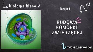 Biologia klasa 5 [Lekcja 5 - Budowa komórki zwierzęcej]