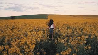 Девушка бежит по полю. ФУТАЖ / Girl running across the field. FOOTAGE