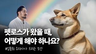 펫로스는 극복 가능한가요? | 심용희 수의사님의 조언 #펫로스 증후군