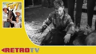 Fury | TV WESTERN | Joey Finds a Friend | S1E1