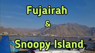 Camping spot in Fujairah & Snoopy Island | #catchingfish | #campinglife | #camping  | #fishingspot