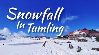 Snowfall in Tumling || Siliguri to Tumling ||Sandakphu Tour || Tumling Tour || Sandakphu by Car