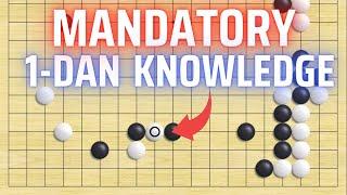 Dan-Level Invading! Mandatory Go Knowledge