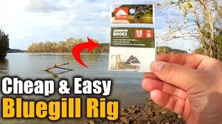 Fishing For Bluegill Cheap & Easy! Bank Fishing Video (Realistic Rig)