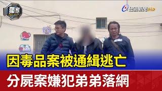 因毒品案被通緝逃亡 分屍案嫌犯弟弟落網