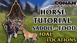 Everything About Horses - Saddle And Food ! All Foal Locations - Conan Exiles Tutorial