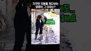 눈 치우는 주인에게 경고한 댕댕이의 신통방통한 행동은?