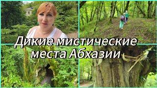 Другая Абхазия/Вторая попытка найти крепость Уаз-Абаа/Место для жертвоприношений /Мистический лес