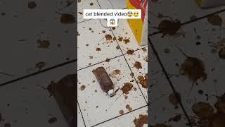 OMG ||  i dropped my all chocolate my mistake my mother slapped me.. #shortsviral #shorts #fyp