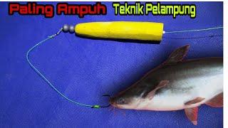 CARA MEMBUAT RANGKAIAN PANCING IKAN PATIN, KOLAM, SUNGAI ATAU DANAU