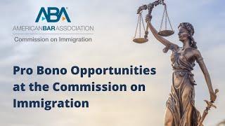 Pro Bono Opportunities at the Commission on Immigration