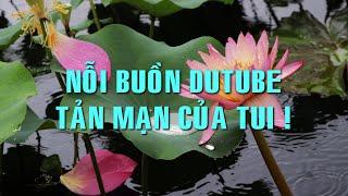 Nỗi buồn DuTuBe – Tản mạn của tui ! | Chuyện đời Xưa nay