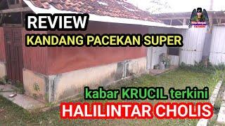 ️OOH INI YANG DI PACEK MAS CHOLIS HALILINTAR SEKARANG ‼️KABAR KRUCIL TERKINI