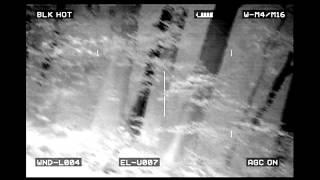 Hog wakes up and eats 6.8 SPC II for breakfast - LWTS Thermal Hog Kill
