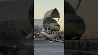 How the Airbus Beluga Loads the Impossible? By Opening the Nose #aviation #aviationlovers #shorts