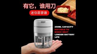 HamiDouRoll USB CHARGERABLE GARLIC MASHER AUTOMATIC GRALIC CRUSHER MEAT GRINDER 蒜泥神器电动迷你捣蒜器拉蒜器家用小型