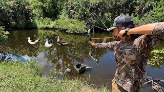 Cazadores Nomadas   Aves Invasoras P1