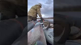 PandaSakha - #preparation #duckhunting #pandasakha #PandaSakha #short