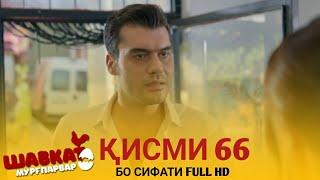 ШАВКАТ КИСМИ 66SHAVKAT QISMI 66