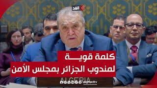 مندوب الجزائر يحرج أعضاء مجلس الأمن خلال كلمته عن حرب غزة.. ماذا قال؟